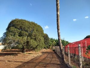 Abrigo para Idosos | Abrigo São Vicente de Paulo Leme-SP