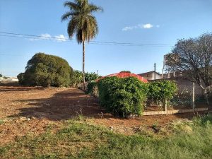 Abrigo para Idosos | Abrigo São Vicente de Paulo Leme-SP